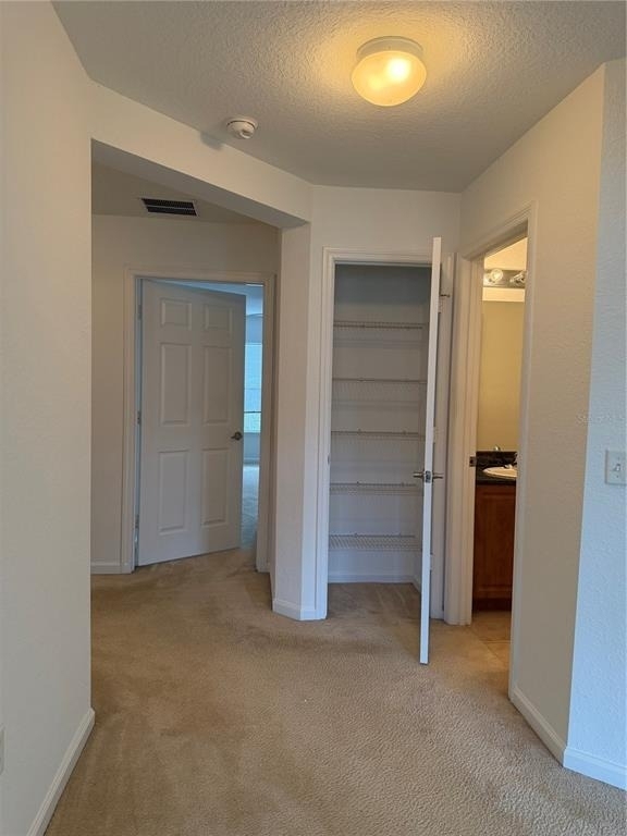 8104 Bally Money Road - Photo 15