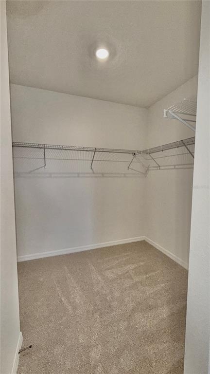 5117 Native Mile Loop - Photo 13