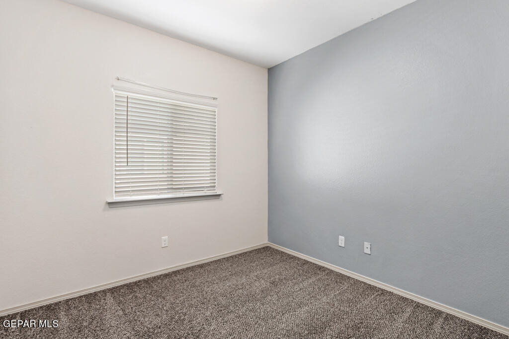 11648 Flor Freesia Drive - Photo 19