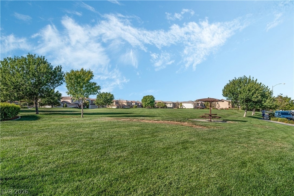 6335 Blushing Willow Street - Photo 31