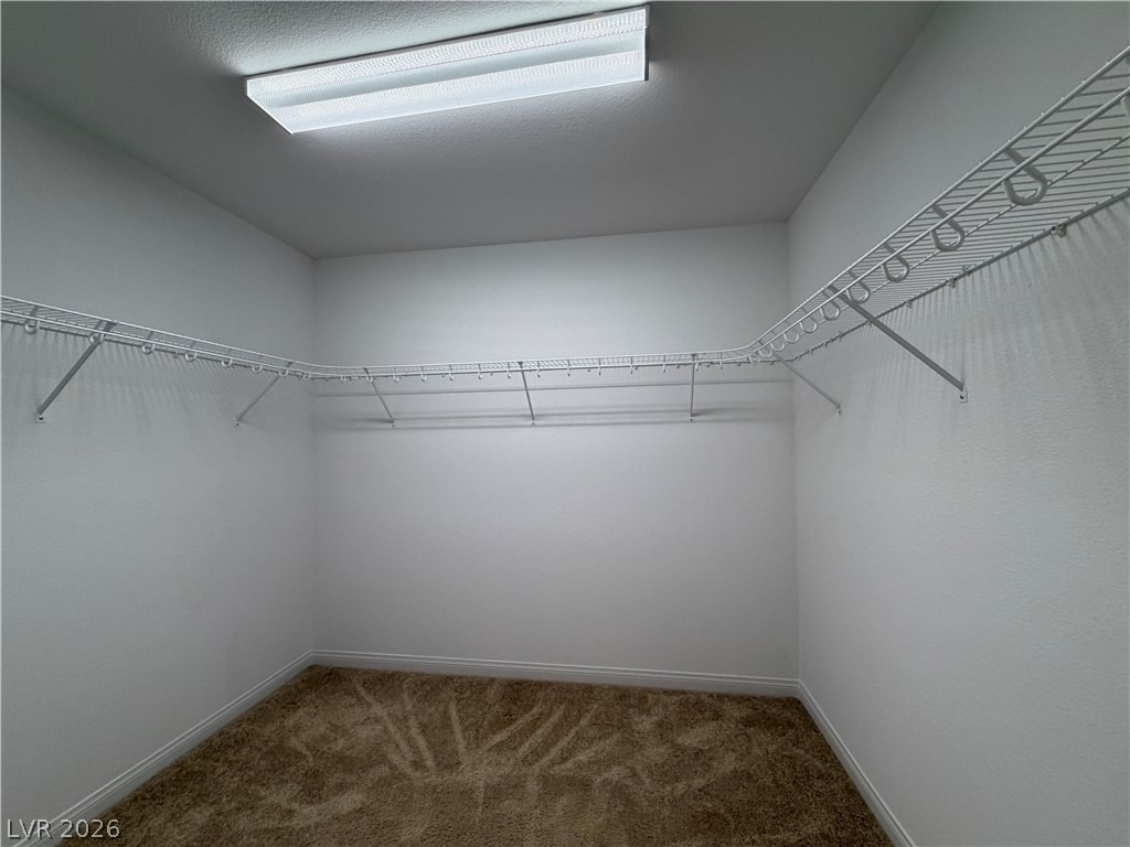 7869 Tyrell Peaks Street - Photo 18
