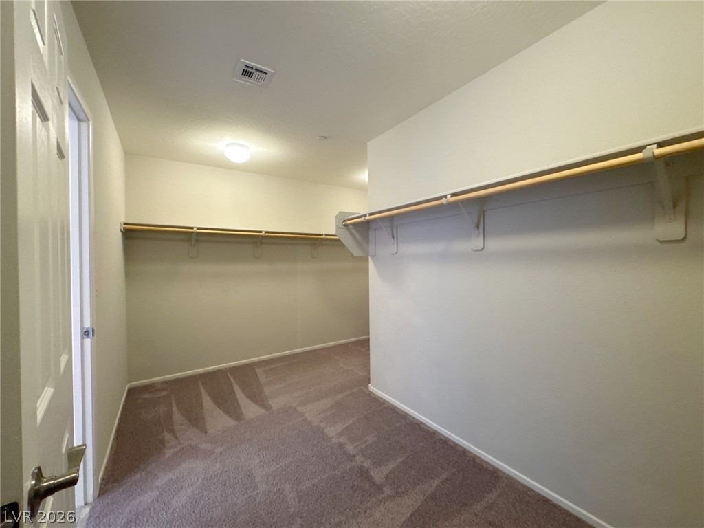 6132 Scarlet Leaf Street - Photo 28