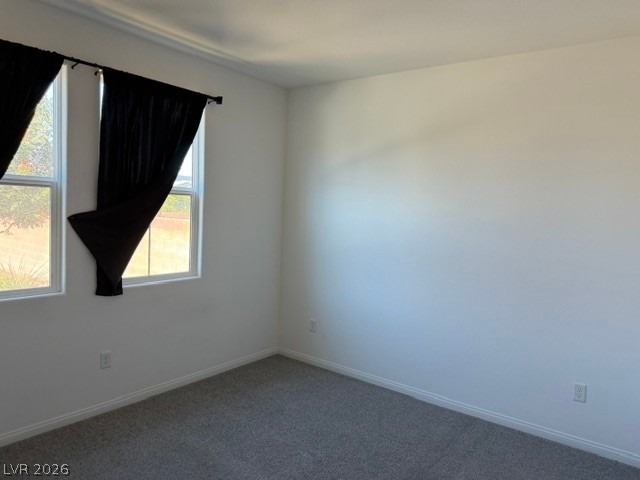 411 Hellebores Avenue - Photo 4
