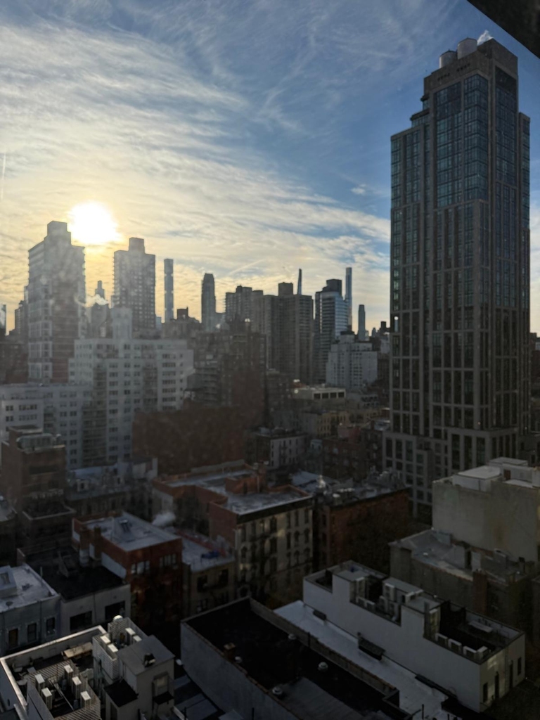 East 79th Street - Photo 8