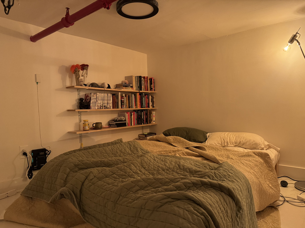 345 Eldert Street - Photo 10