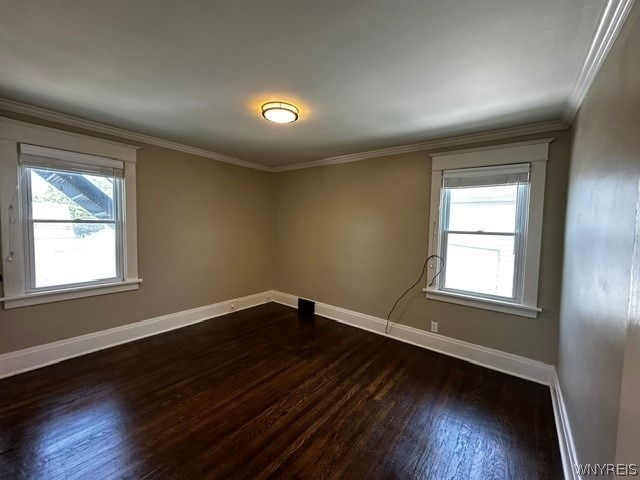 59 Tulane Road - Photo 10