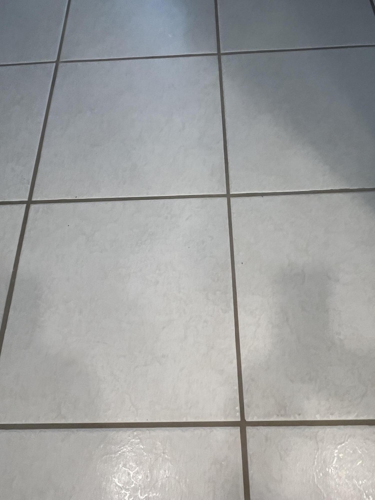 483 Saxony K Drive - Photo 12