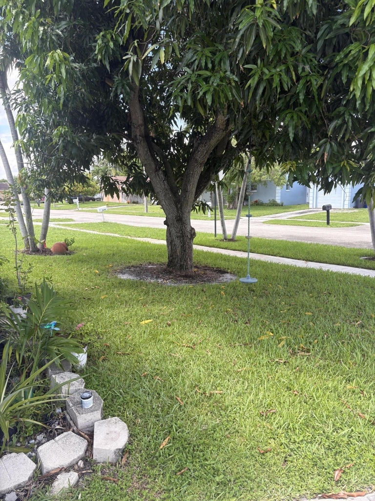 8250 Sw 8th Court - Photo 4