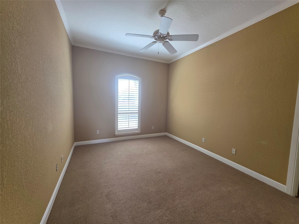 4204 Bluff View Drive - Photo 18