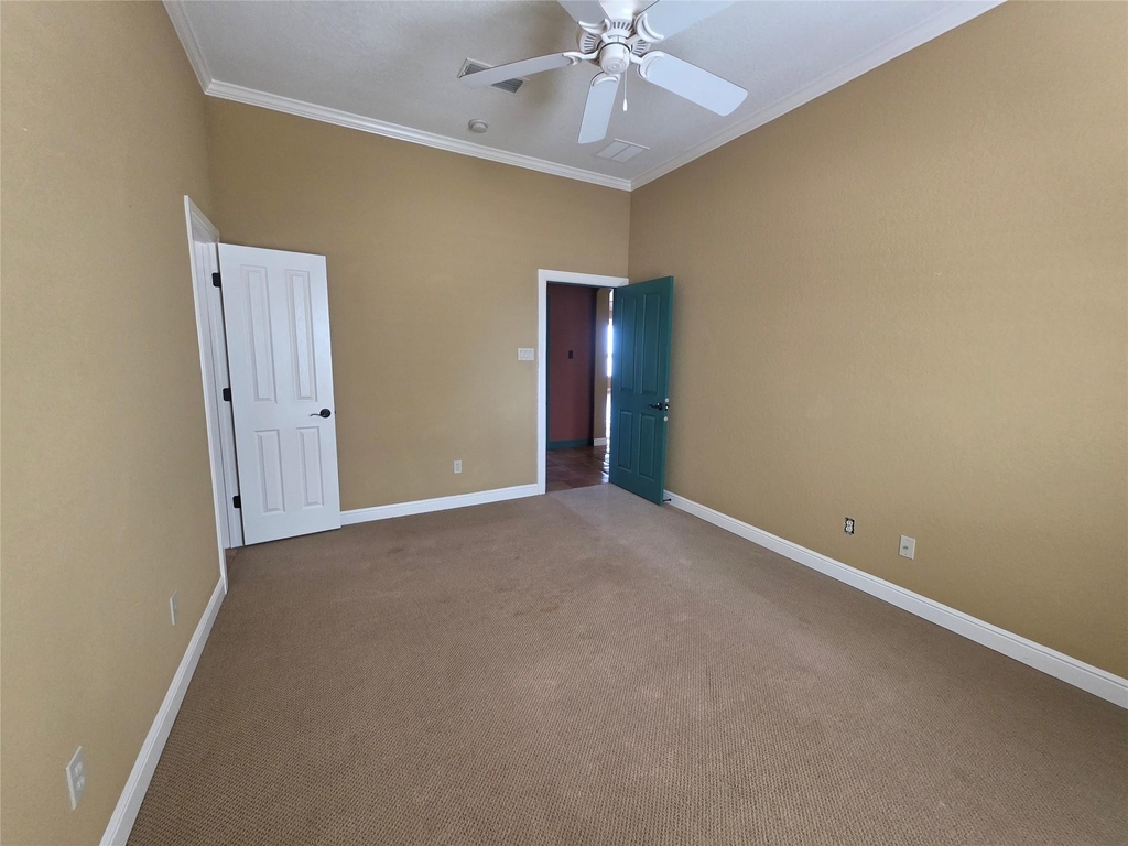4204 Bluff View Drive - Photo 19