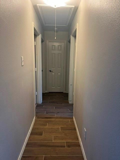 703 Mill Street - Photo 5