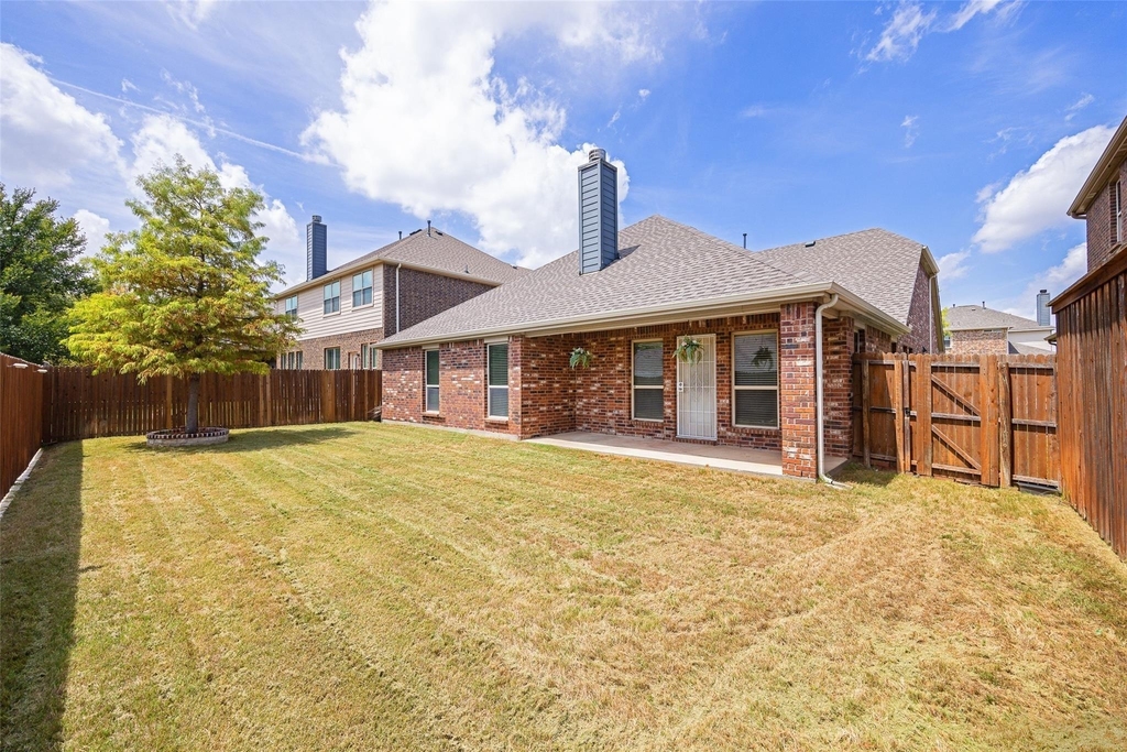 10005 Petrified Tree Lane - Photo 17