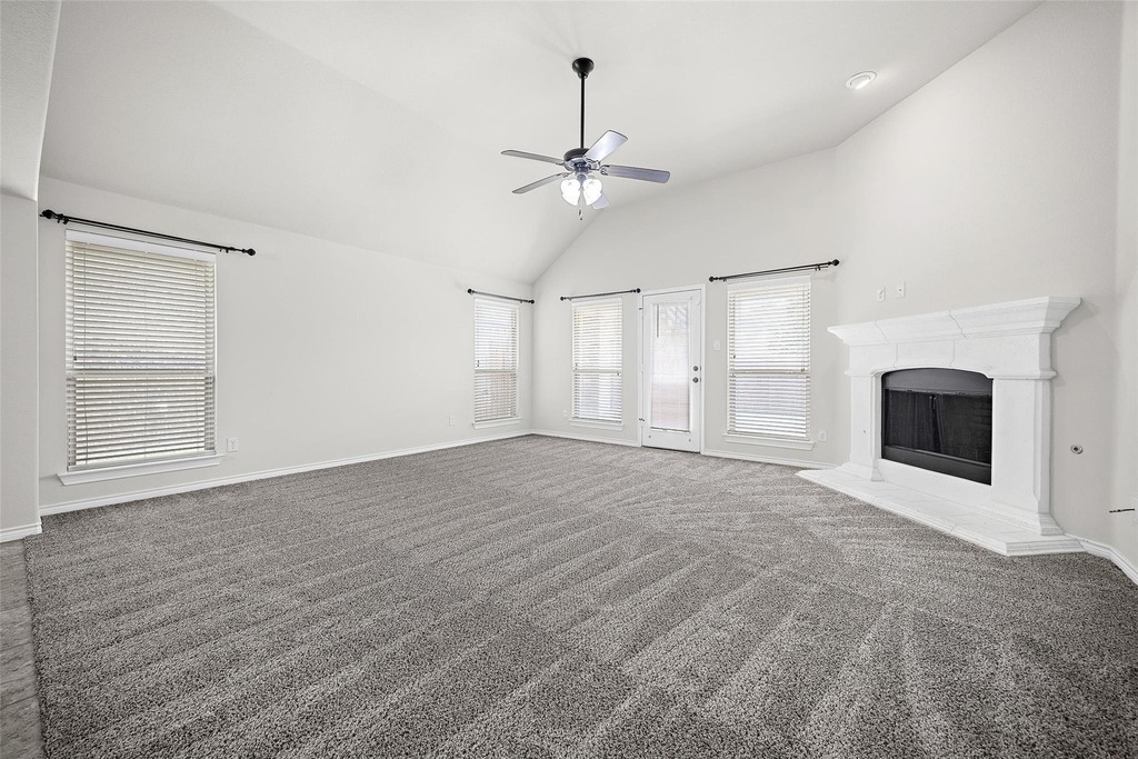 10005 Petrified Tree Lane - Photo 5