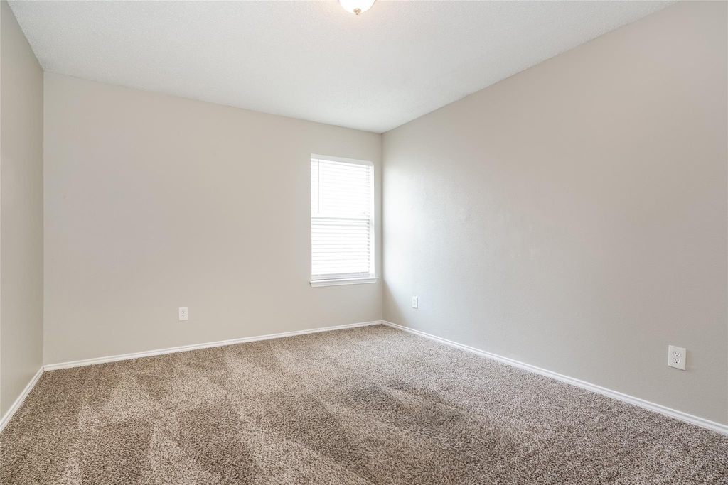 8128 Modesto Drive - Photo 10