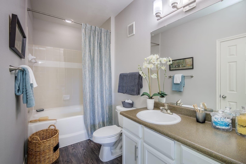 12101 Dessau Road - Photo 11