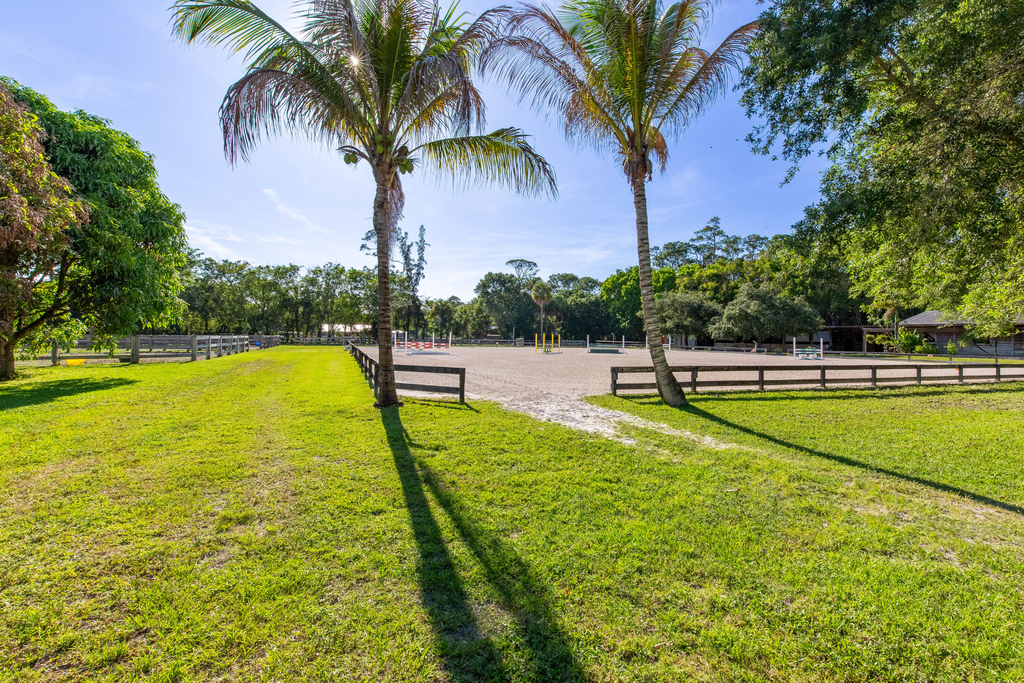 851 Hyde Park Road - Photo 8