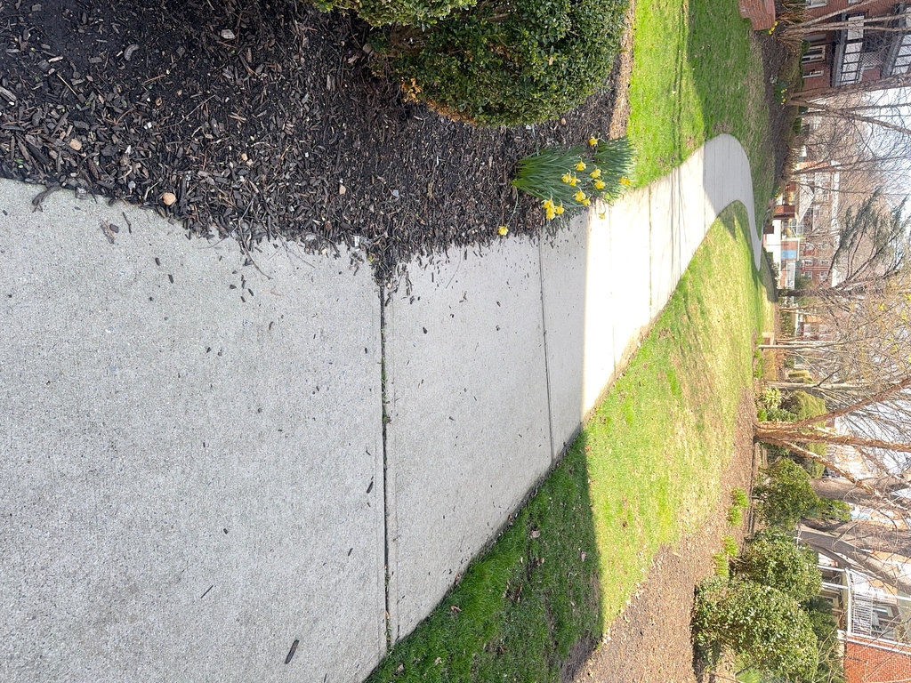 16-70 Bell Boulevard - Photo 2