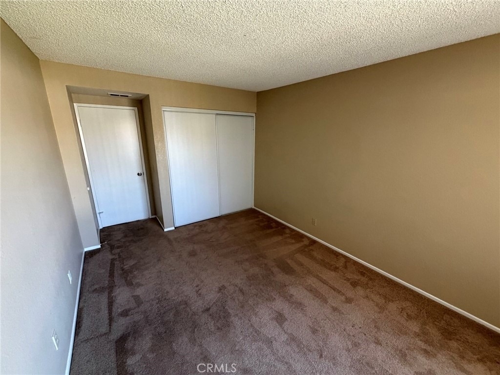 35378 Chiwi - Photo 10
