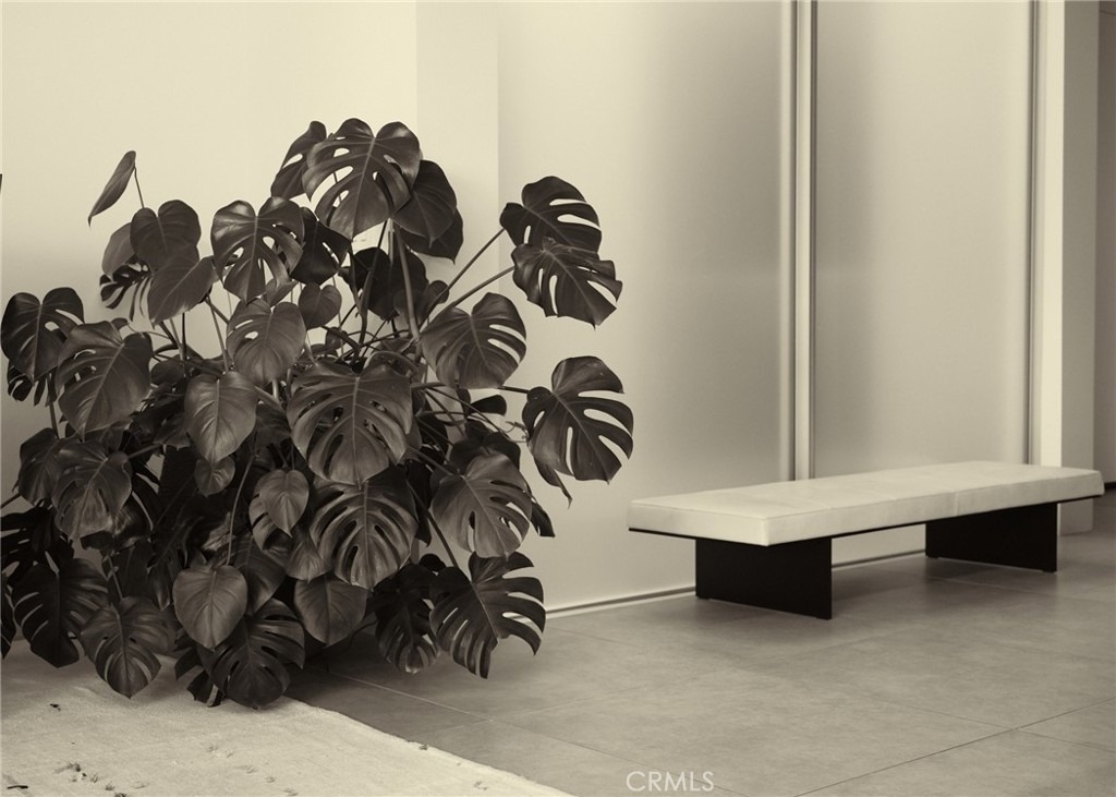 838 N Kings Road - Photo 11