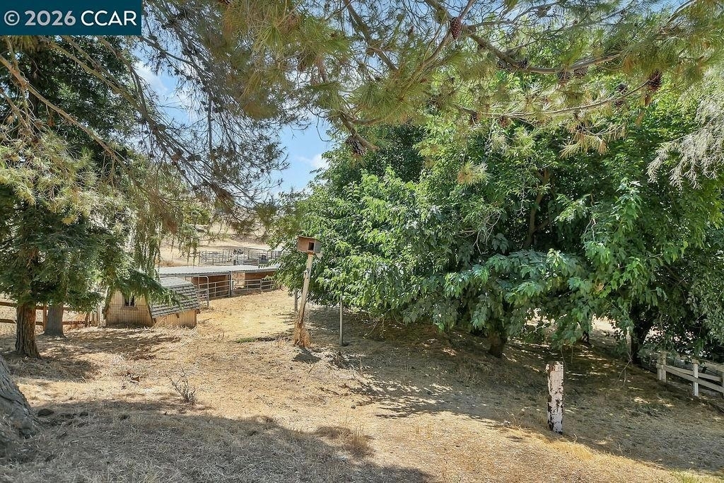4161 Leon Dr. - Photo 43