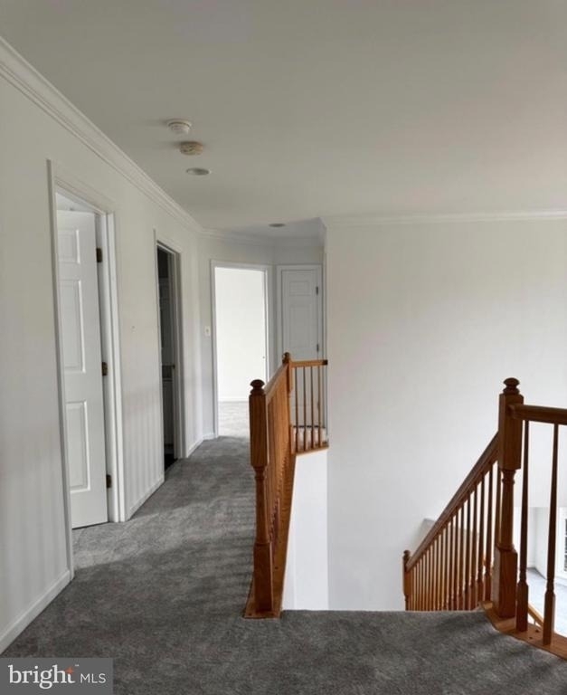 5312 Joshua Tree Circle - Photo 9