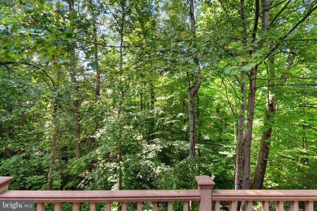 7877 Painted Daisy Drive - Photo 44