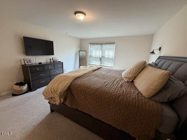 3509 Arctic Brook Street - Photo 8