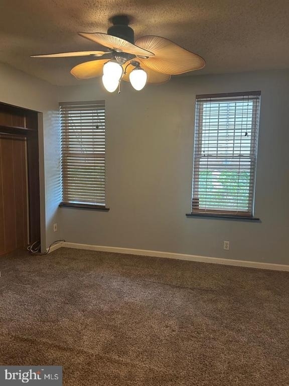 1117 Winton Street - Photo 14