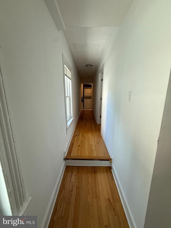 14 Witherspoon Street - Photo 2