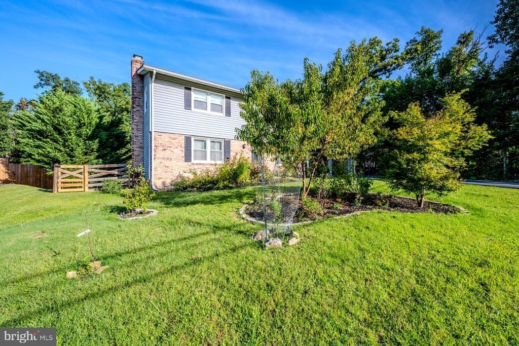 7727 Laytonia Drive - Photo 1