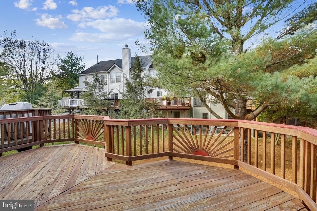 20606 Duck Pond Place - Photo 2