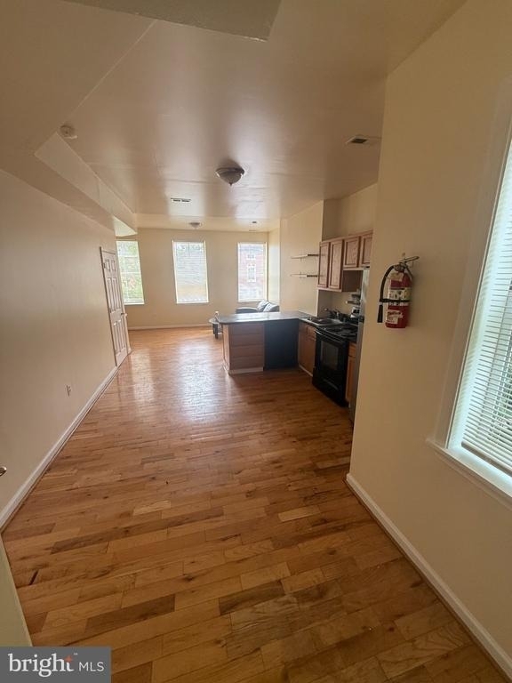 1030 Hollins Street - Photo 5