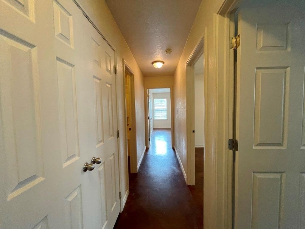 207 Andy Ln - Photo 9