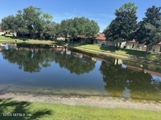 241 Beech Brook Street - Photo 37