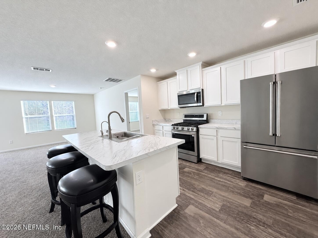 313 Jarama Circle - Photo 1