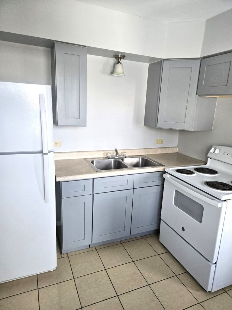 400 W Division Street - Photo 2