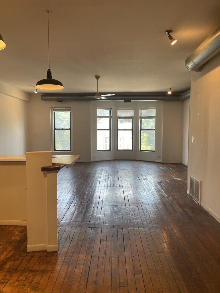 1908 S Halsted Street - Photo 3