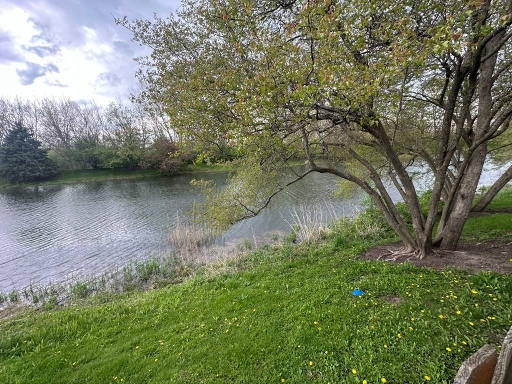 22102 W Plymouth Circle - Photo 30