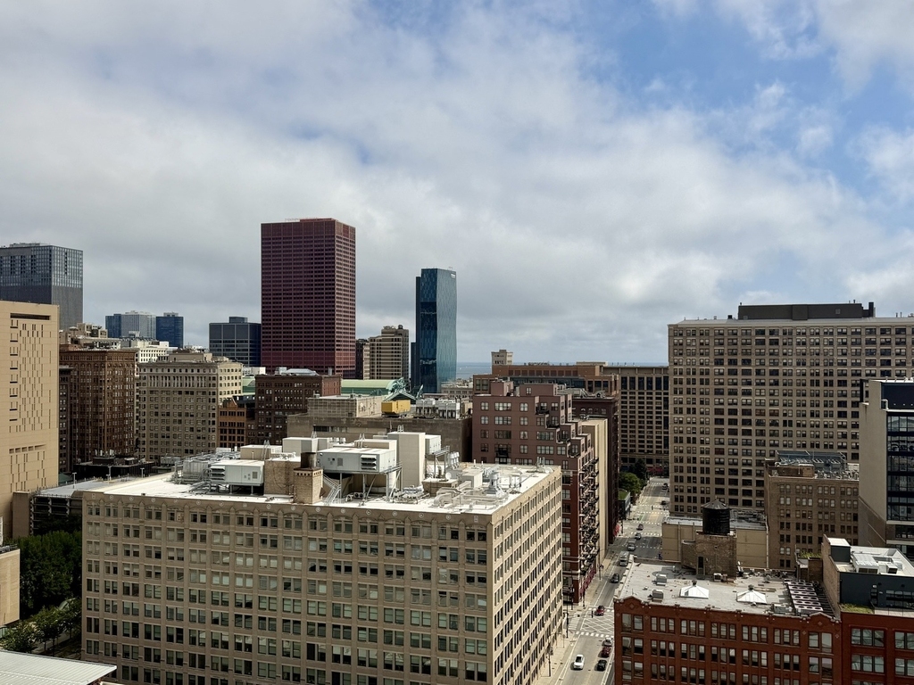 611 S Wells Street - Photo 8