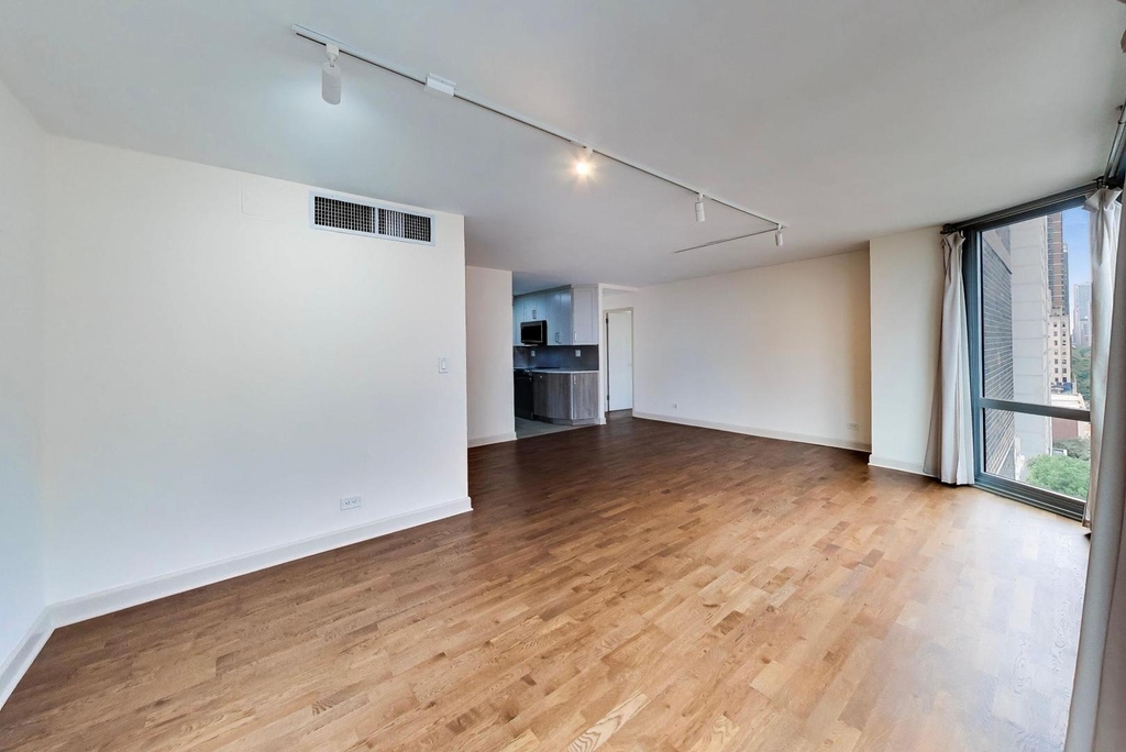 21 W Goethe Street - Photo 11