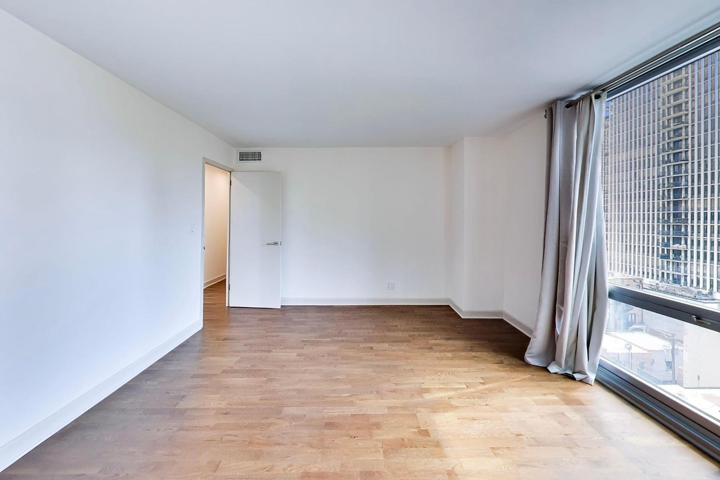 21 W Goethe Street - Photo 20