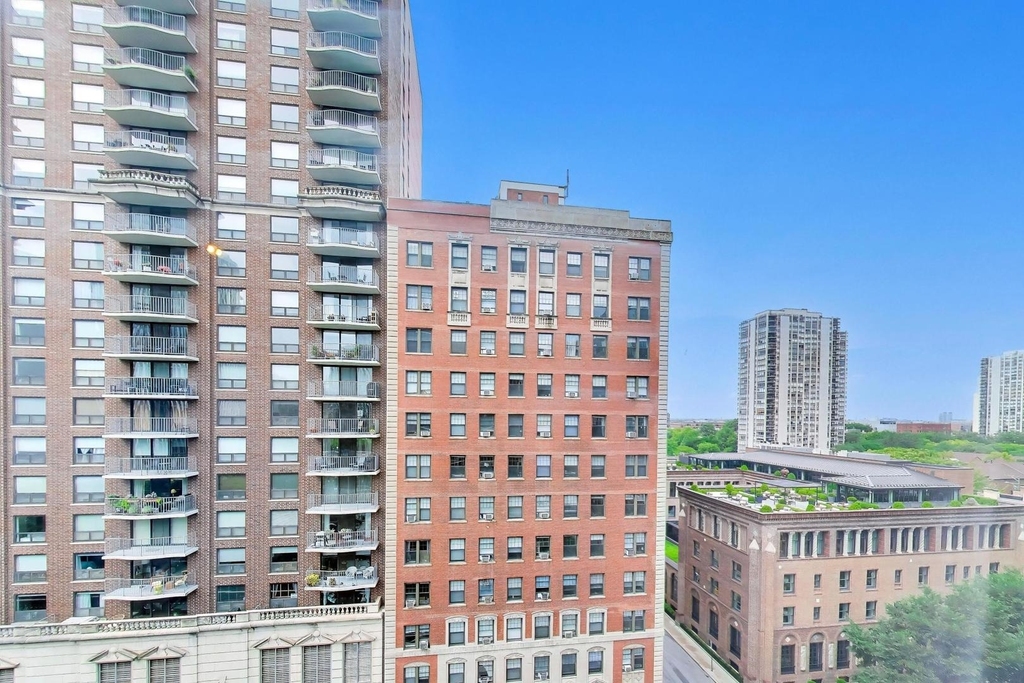 21 W Goethe Street - Photo 13