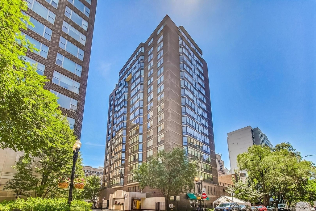 21 W Goethe Street - Photo 2