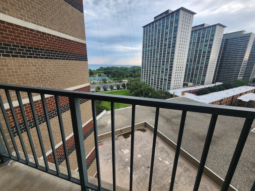 3660 N Lake Shore Drive - Photo 7