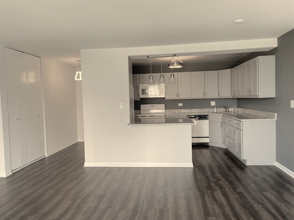 5455 N Sheridan Road - Photo 3