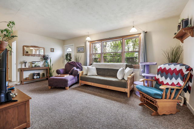 223 Ellen Street - Photo 1
