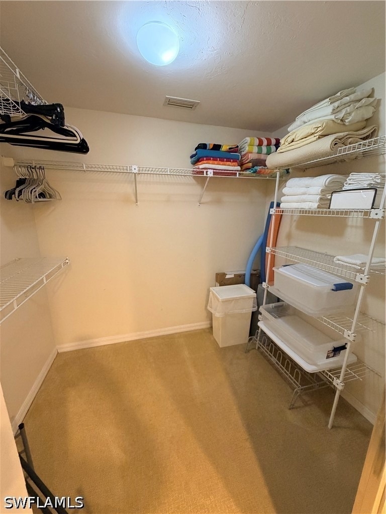 360 Horsecreek Drive - Photo 12