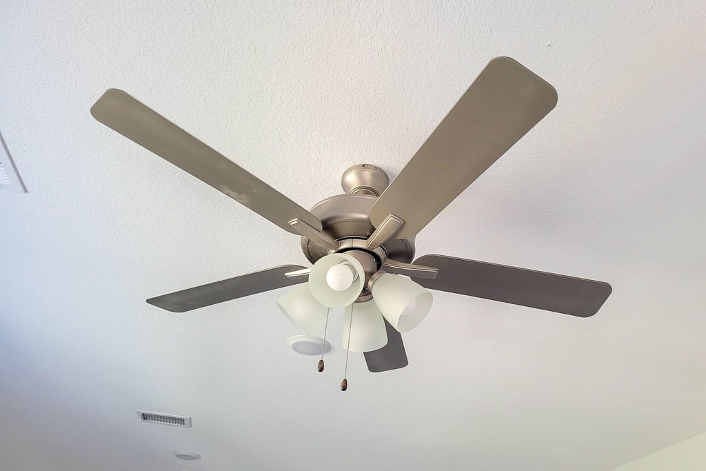 25737 Damask Drive - Photo 15