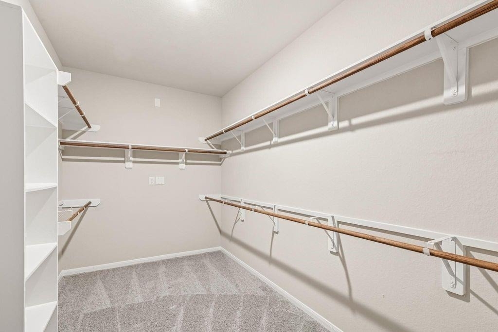 32406 Cedar Elm Drive - Photo 15