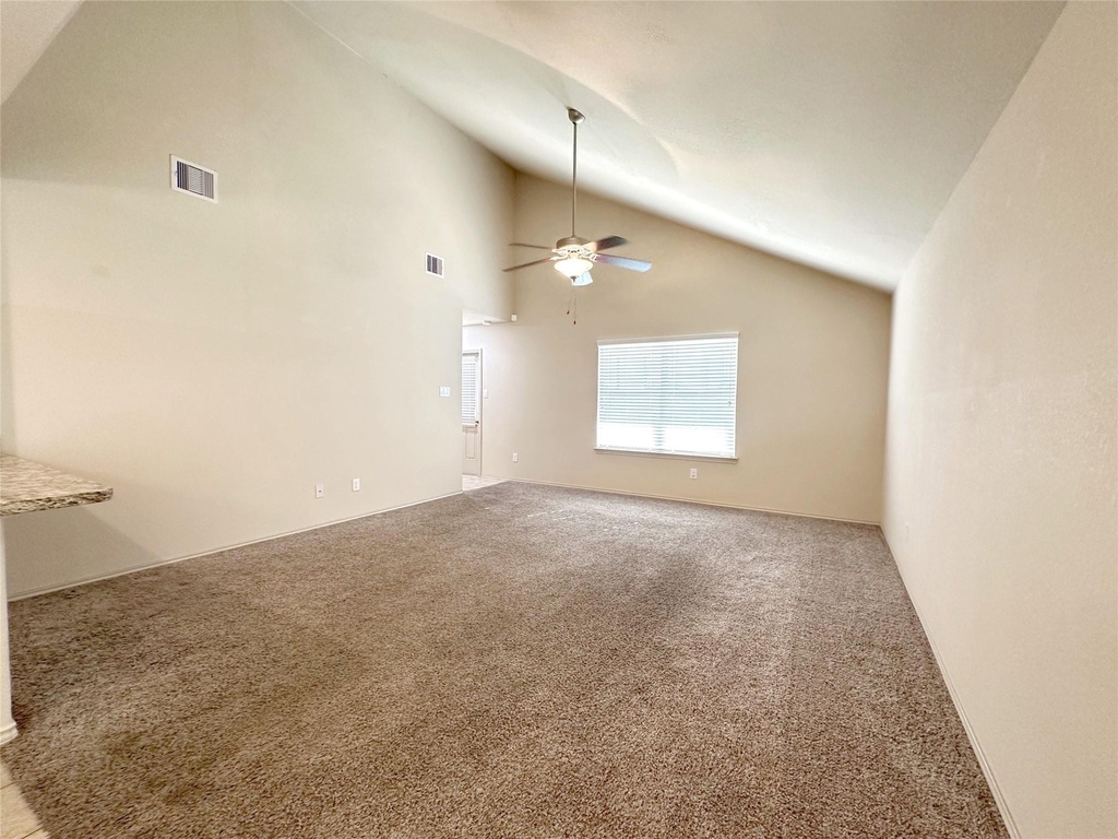 23307 Dukes Run Drive - Photo 4